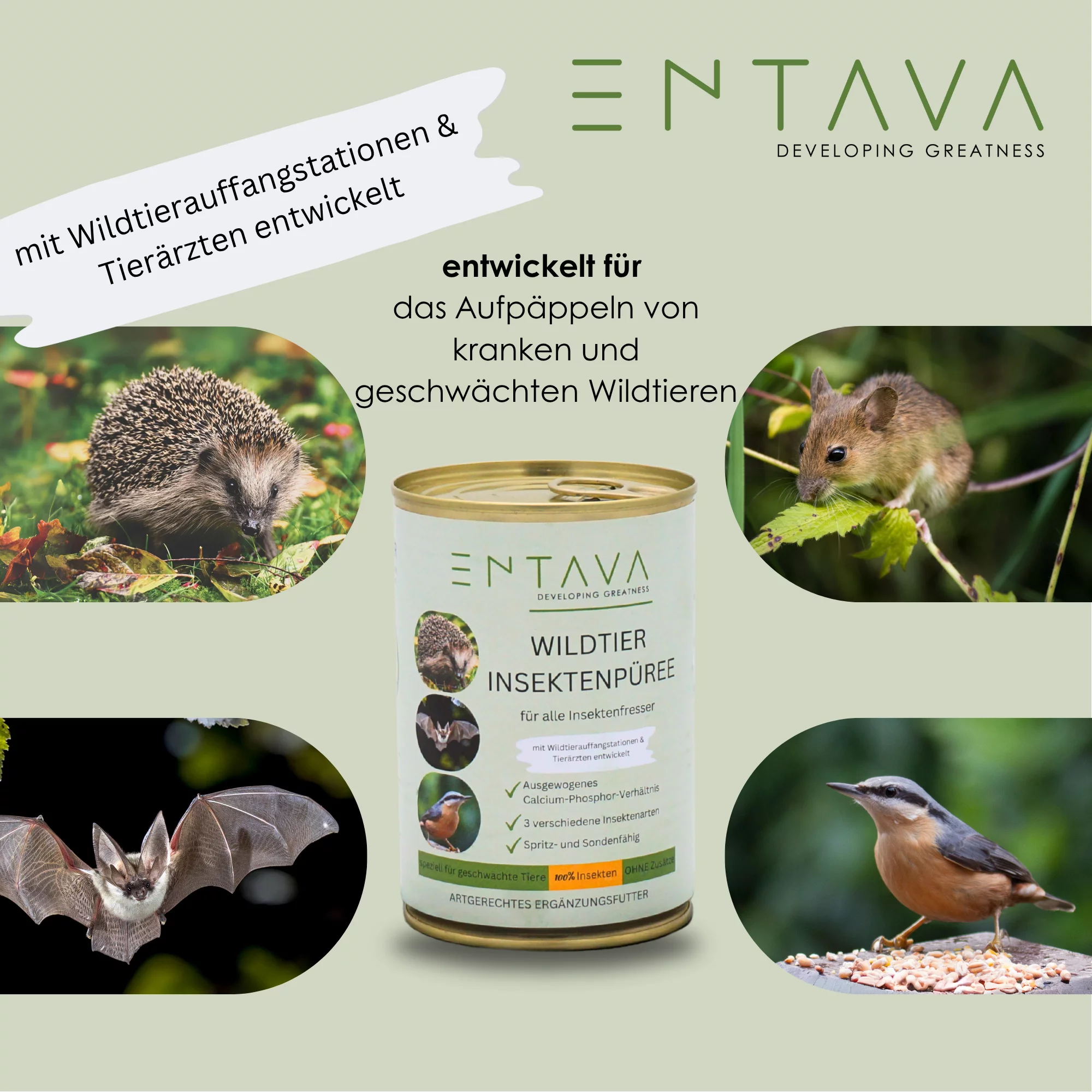 ENTAVA Wildtier Insektenpüree 400g Dose