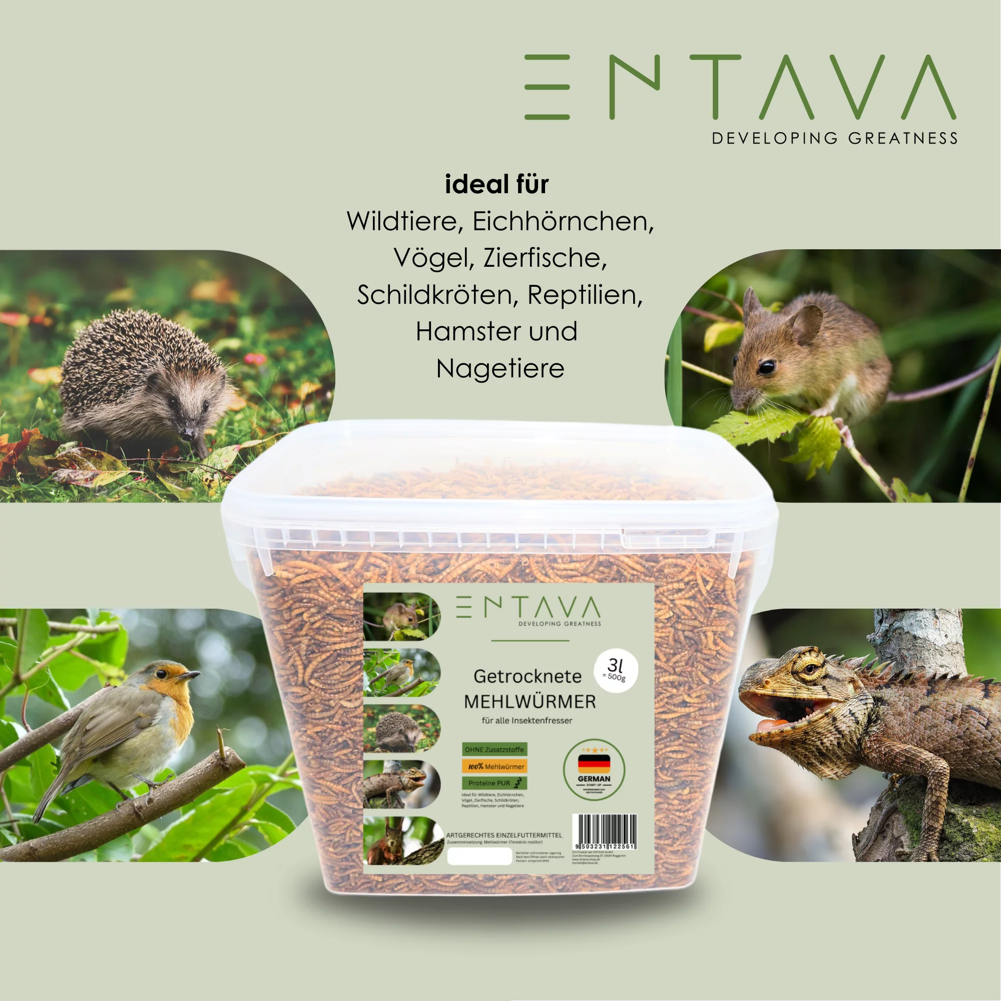 ENTAVA 3l getrocknete Mehlwürmer