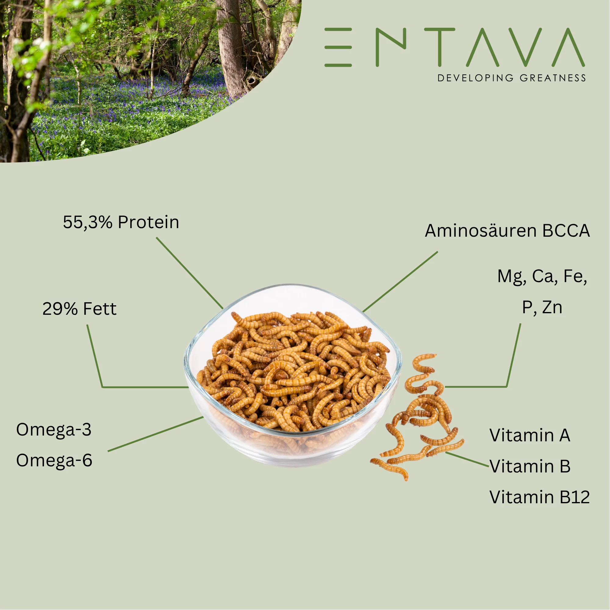 ENTAVA Wildtier Insektenpüree 200g Dose
