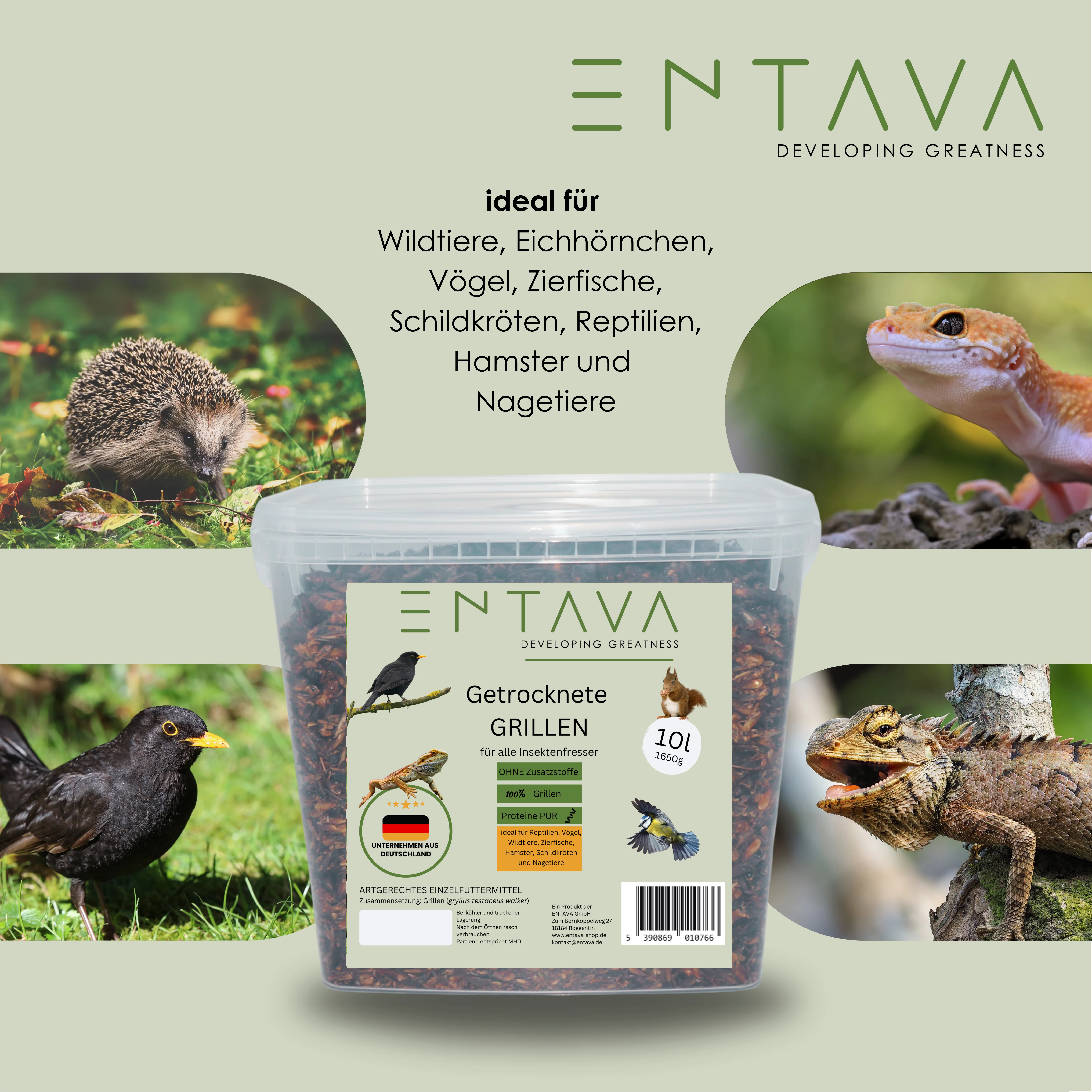 ENTAVA 10l getrocknete Grillen