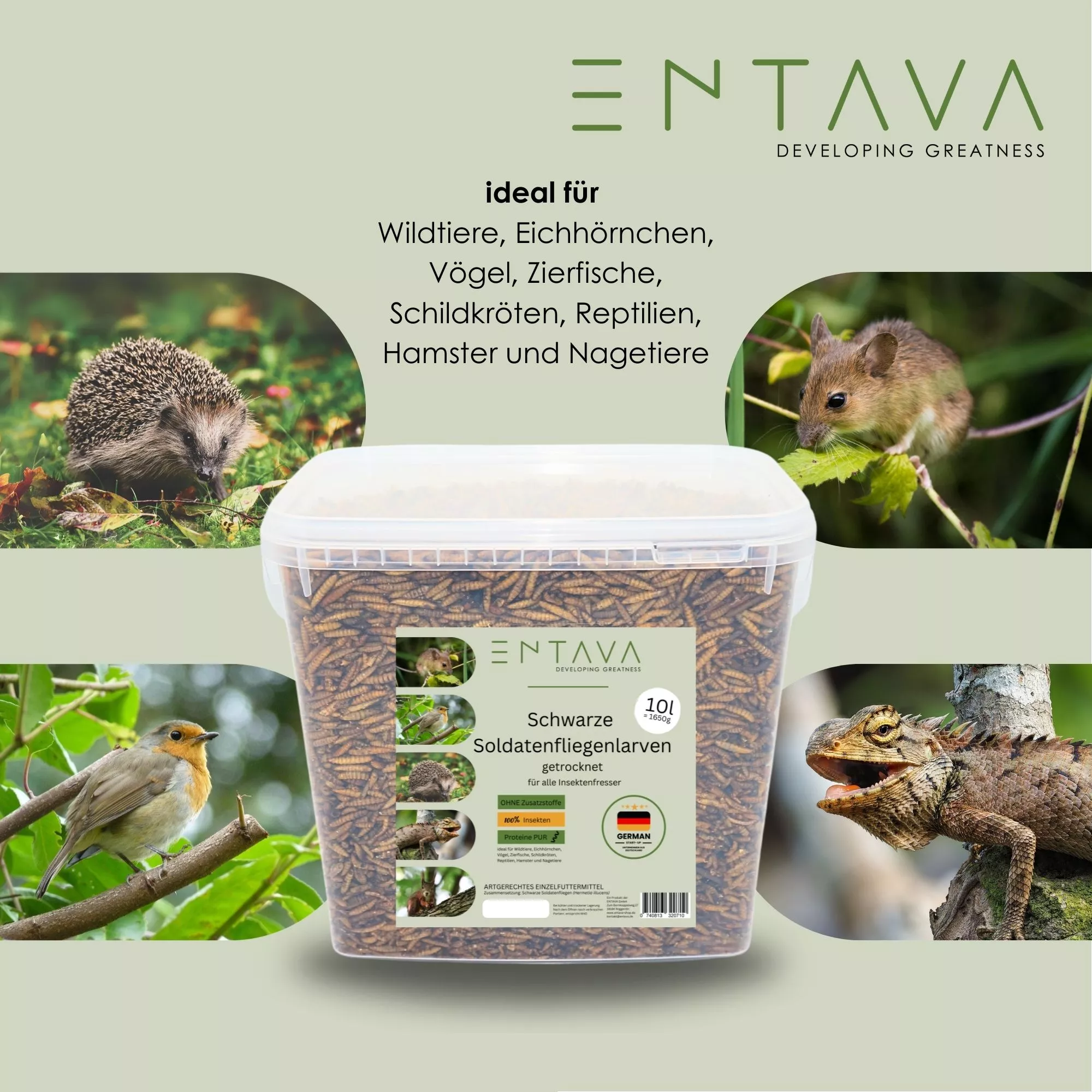 SPENDE Tierfreunde Rhein-Erft e.V.  10l Soldatenfliegenlarven getrocknet