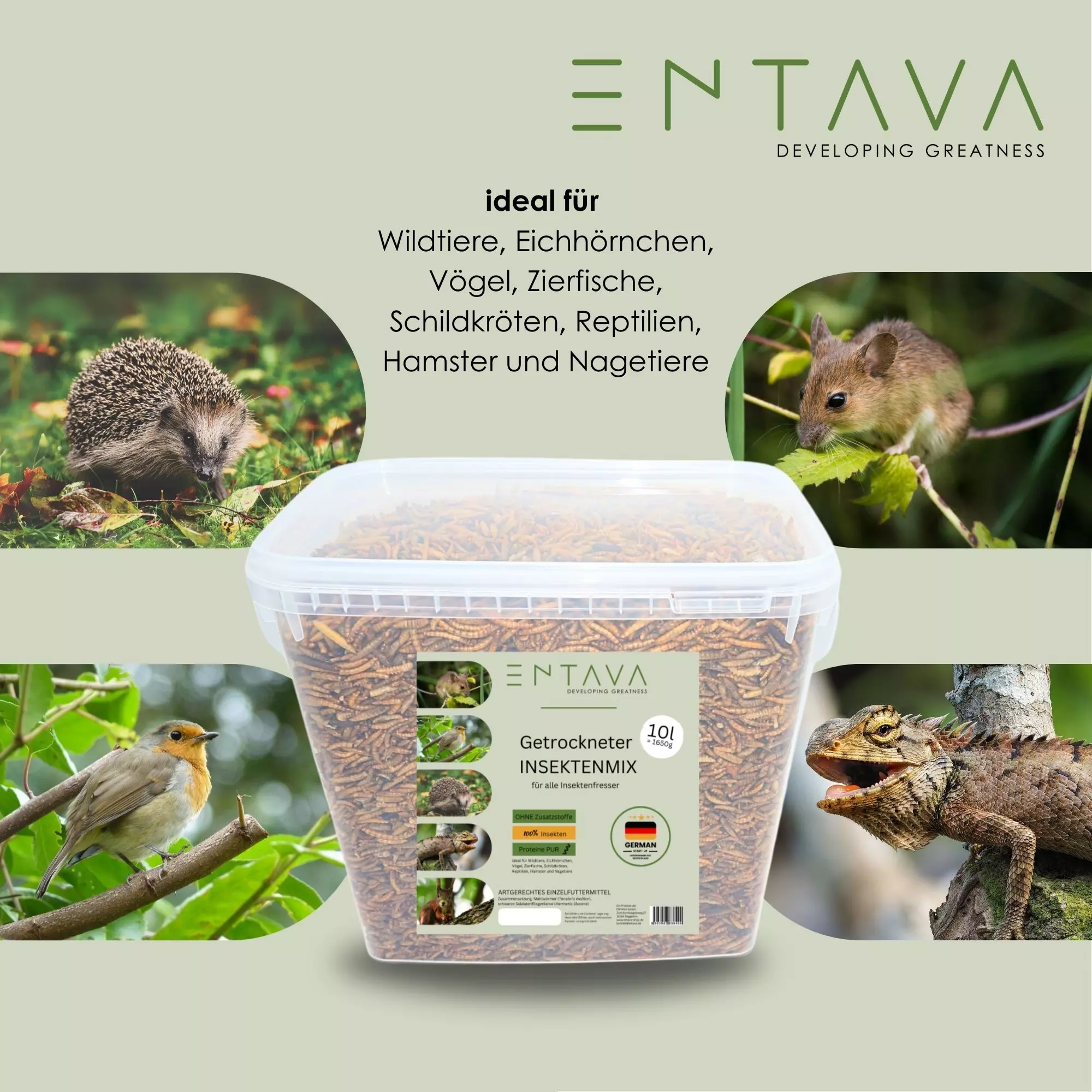ENTAVA 10l nachhaltiger Insektenmix