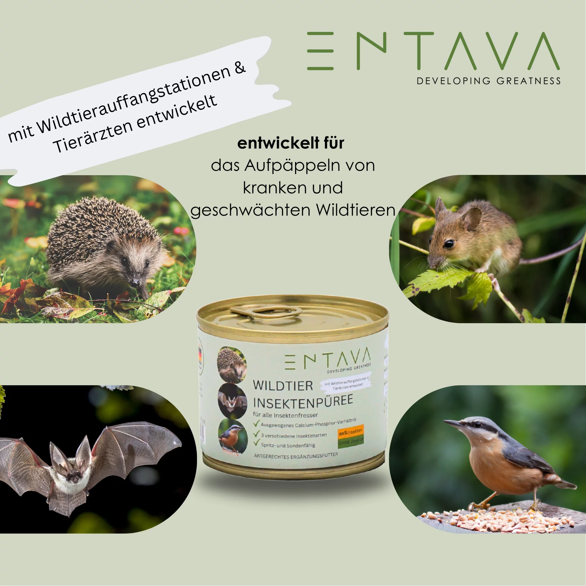 ENTAVA Wildtier Insektenpüree 200g Dose