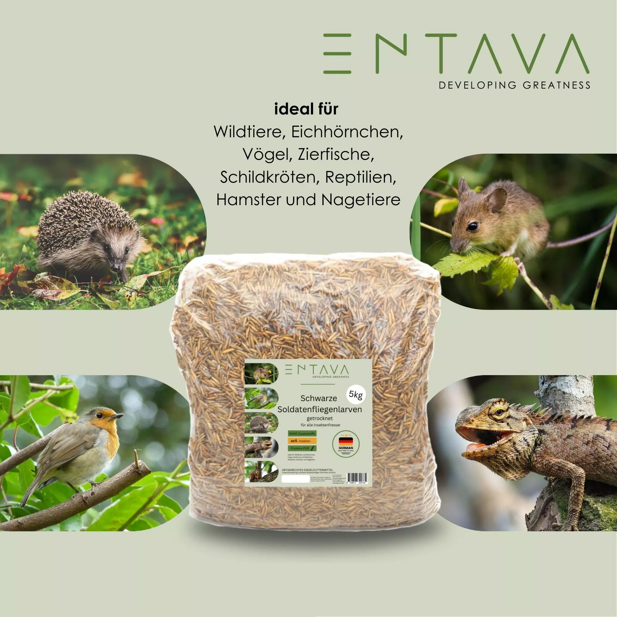 ENTAVA 5kg Soldatenfliegenlarven getrocknet