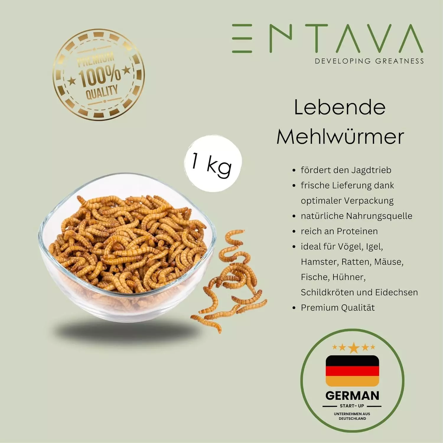 ENTAVA 1kg Mehlwürmer lebend