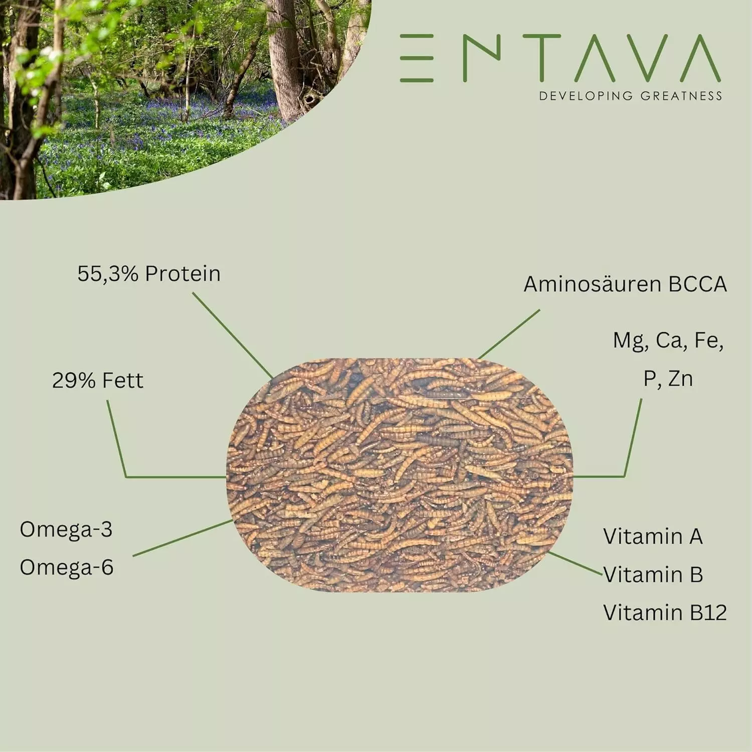 ENTAVA 5kg nachhaltiger Insektenmix