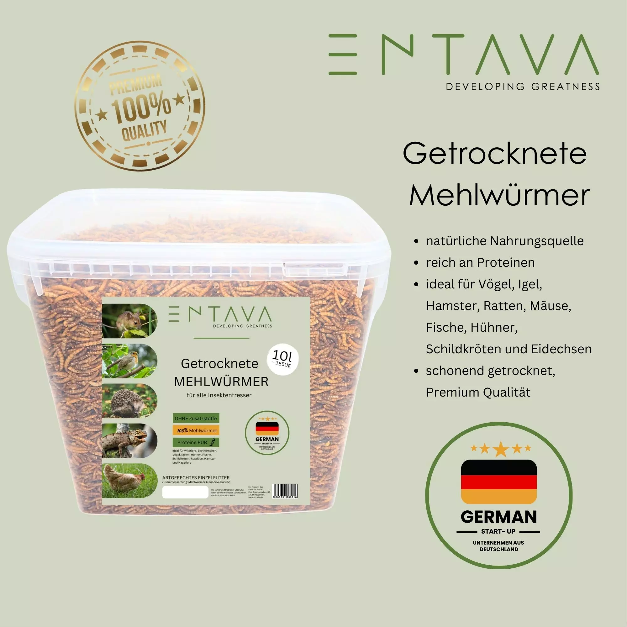 Mehlwürmer