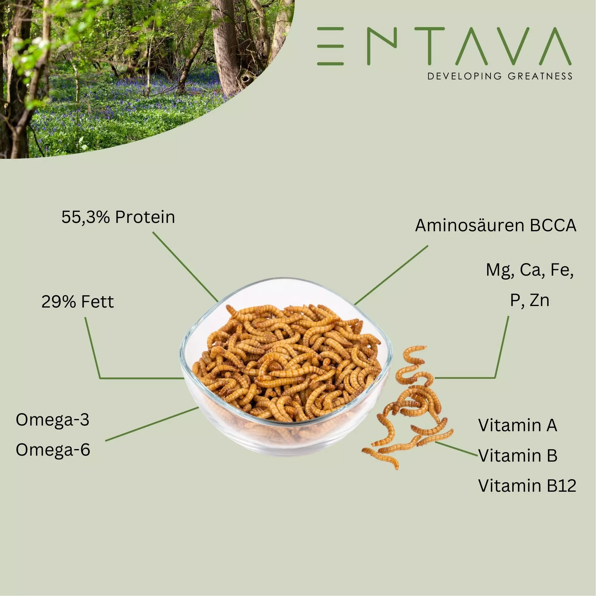 ENTAVA 3l nachhaltiger Insektenmix