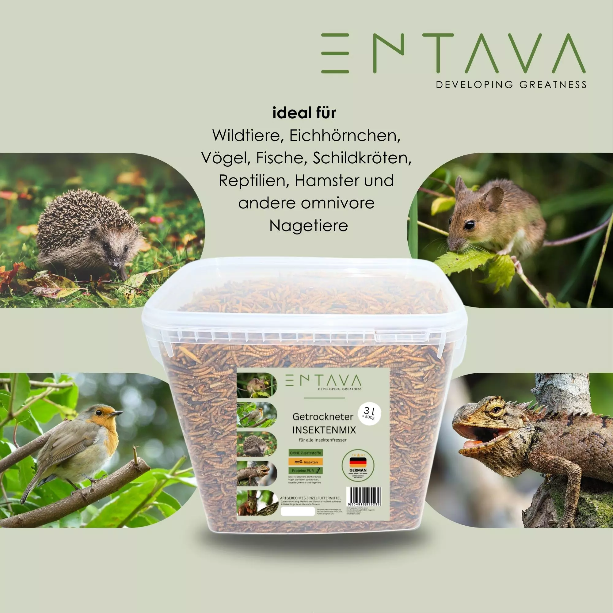 ENTAVA 3l nachhaltiger Insektenmix