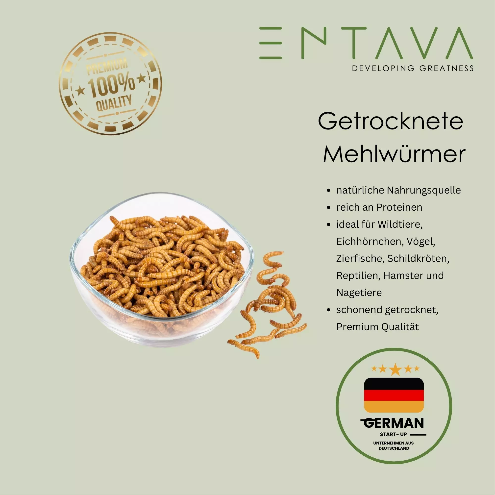 ENTAVA 5kg getrocknete Mehlwürmer