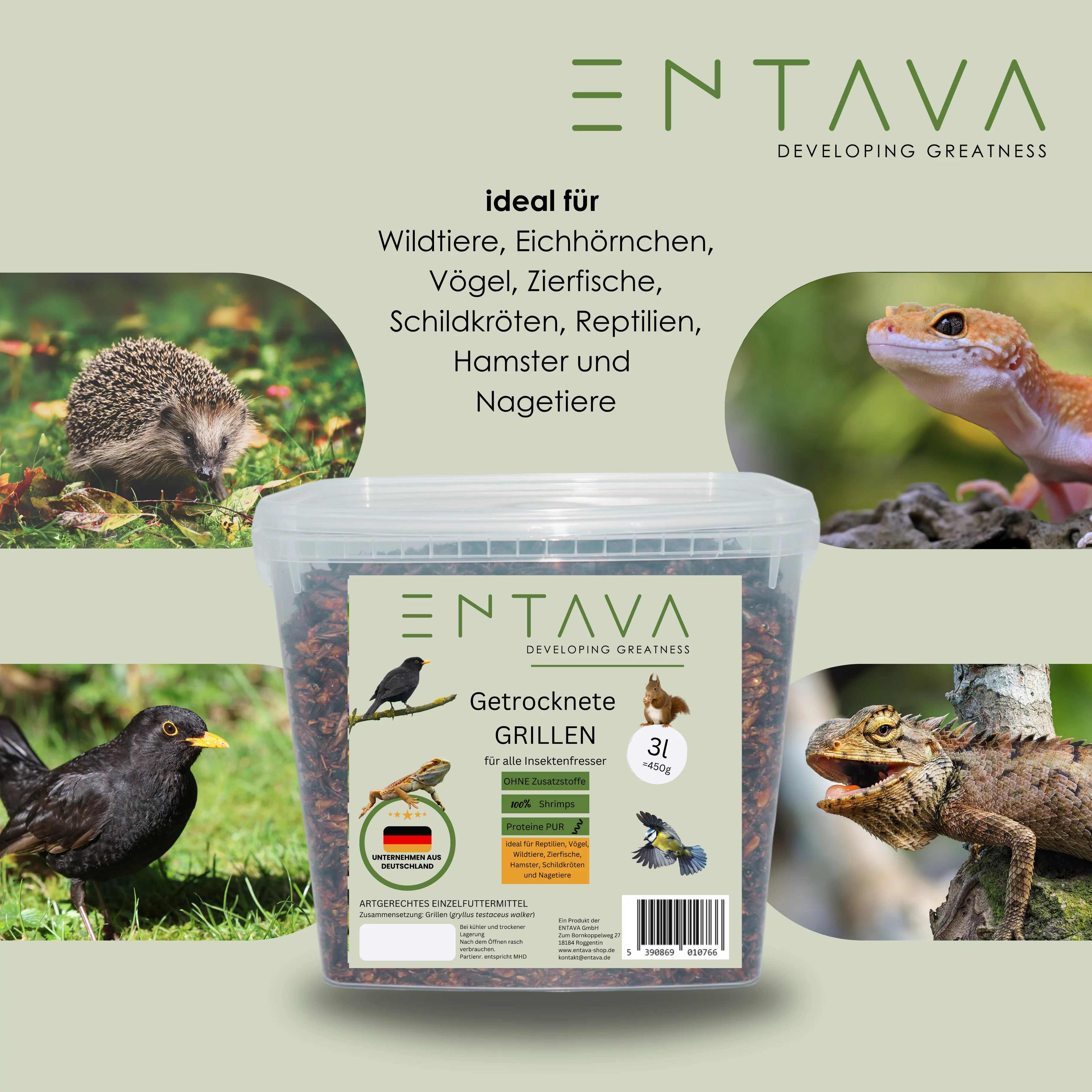 ENTAVA 3l getrocknete Grillen