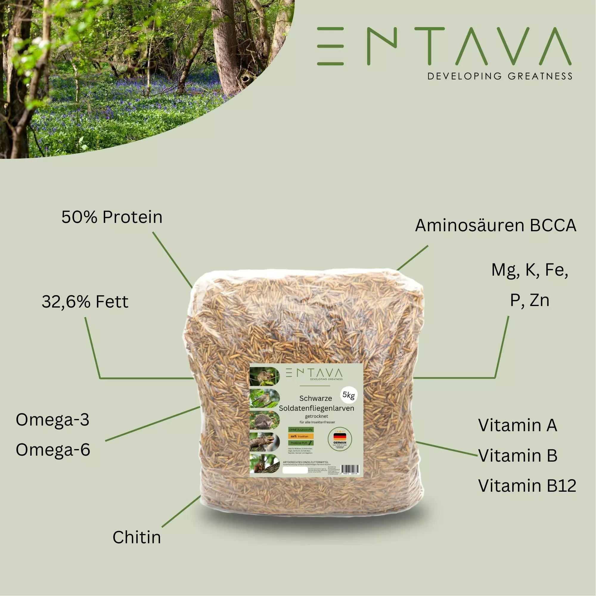 ENTAVA 5kg Soldatenfliegenlarven getrocknet